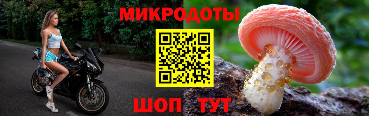 Нововоронеж  Галлюциногенные грибы Cubensis  Вход с VPN 